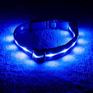 best rechargeable led dog collar for hiking