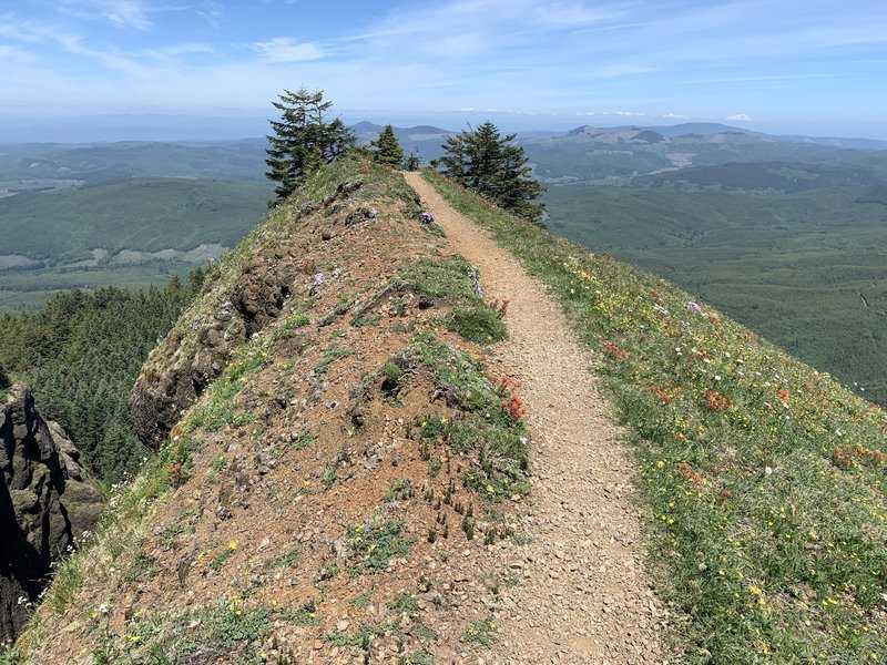 best hikes in Oregon