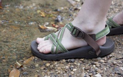 TOP 10 Best Hiking Sandals [2021]: Hiking Sandals for Men & Women