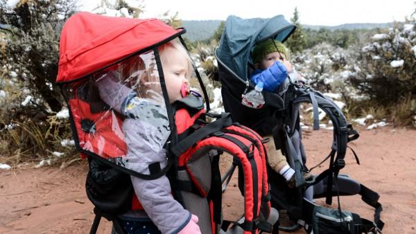 10 Toddler Carrier for Hiking: TOP Best Toddler Carrier [2021 Updated]