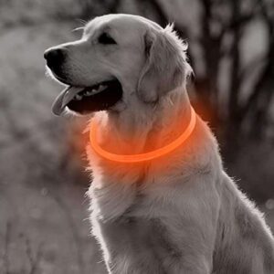 waterproof lighted dog collar
