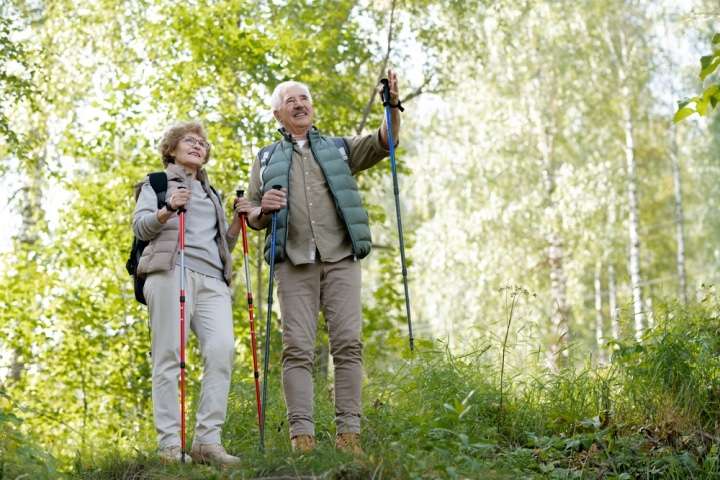 Best Hiking Sticks for Seniors: TOP 10  Affordable Sticks [2021 Updated]