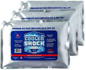 best ice packs coolers